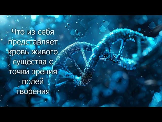 Кровь живого существа с точки зрения полей творения. Ее функциональность. Резус-фактор