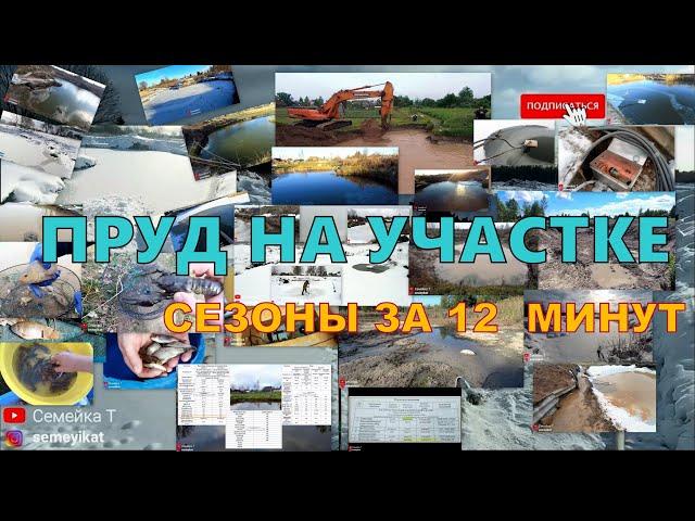 Свой пруд СЕЗОНЫ. Копаем пруд на участке. Пруд в огороде зимой. Пруд на даче с рыбой и раками 