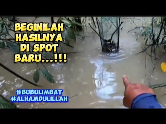 DENGAR KATA DALAM HUTAN INI BANYAK KELI LIMBAT..YE KE..