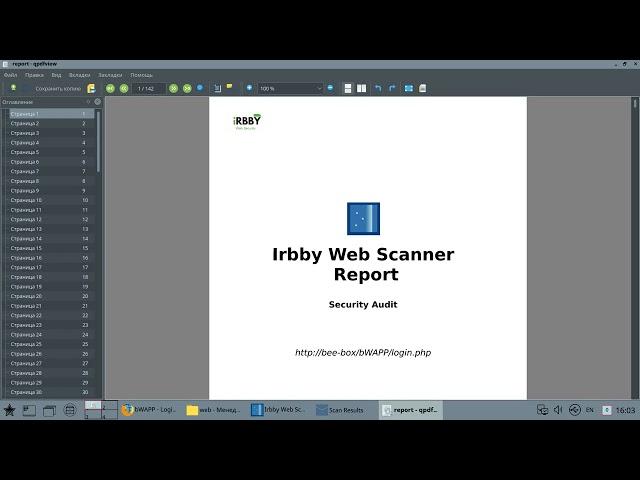 Irbby Web Scanner for Astra Linux. Часть 6. Формирование отчета. Полные результаты сканирования.