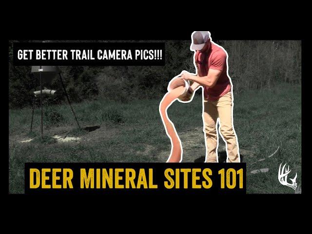 DEER MINERAL SITES 101 | GET BETTER TRAIL CAMERA PICS! | ADVANTAGE WHITETAIL