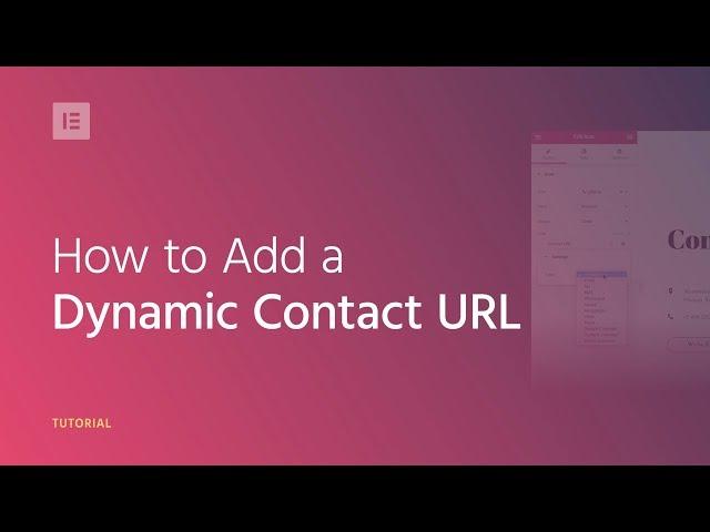 How to Use the Dynamic Contact URL on Your WordPress Website