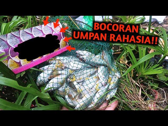 RACIKAN UMPAN JITU UNTUK WADER, KEPEK, UCENG, BADER, DAN SEJENISNYA‼️