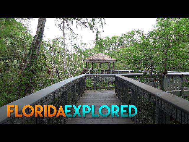 Tall Cypress Natural Area - Coral Springs, Florida | Florida Explored