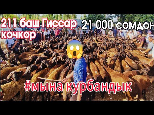 Учкун мал базары! 0553413101 Ош, Кыргыз-Чек