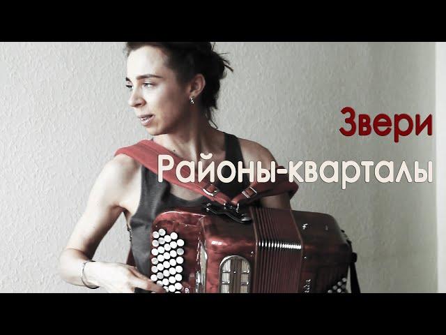 Звери - Районы-кварталы (cover)