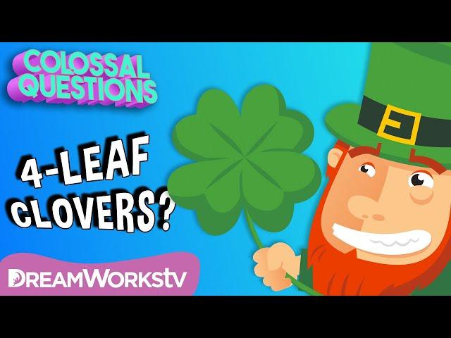 Are 4-Leaf Clovers “Lucky?” | COLOSSAL QUESTIONS