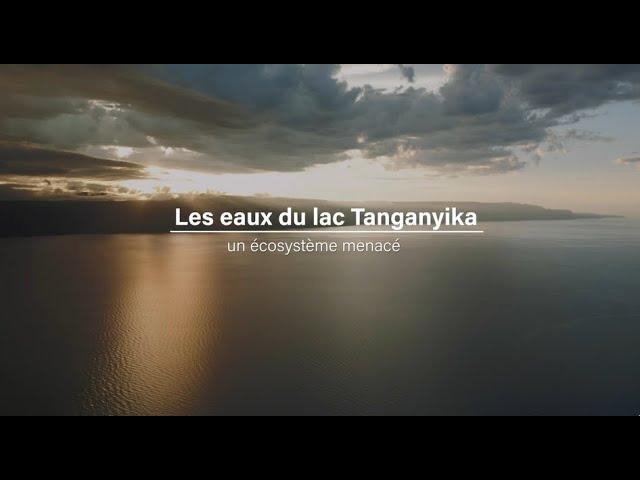 Les eaux du lac Tanganyika, un écosystème menacé