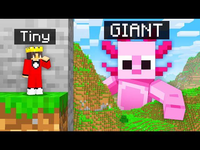 TINY vs GIANT Hide and Seek in Minecraft Prop Hunt