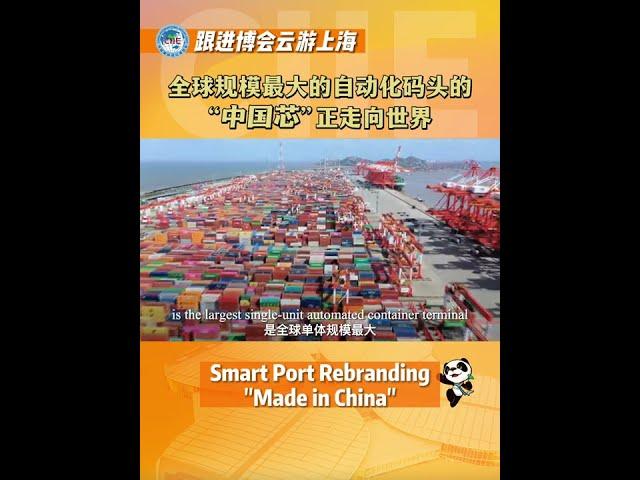 Smart port rebranding "Made in #China" #china2022  #yangshan #fyp #shanghai  #smartport  #trade