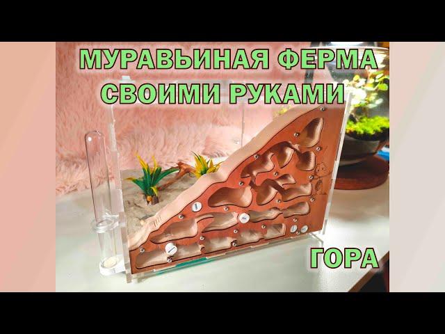 Муравьиная ферма своими руками. Гора. Вертикальный формикарий.