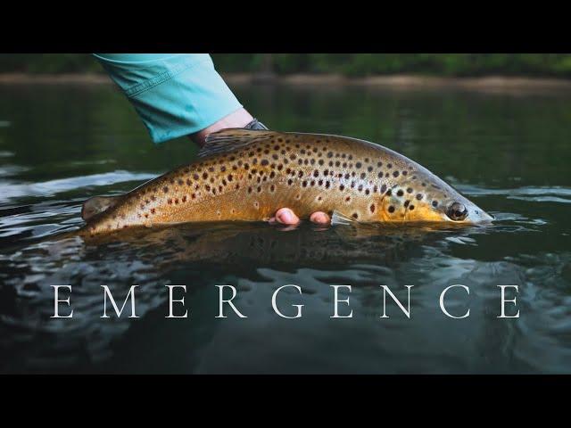 EMERGENCE | Summer Fly Fishing on the White River | 2023 IF4 Stimmie Nominee