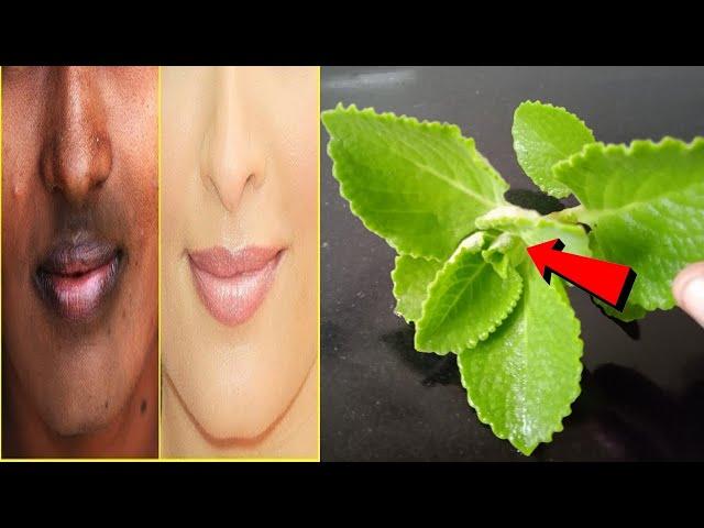 1 முறை, இந்த இலை வச்சு, முகத்தில் இப்படி பண்ணினா முகம்! | beauty tips in tamil | How To Become Fair,