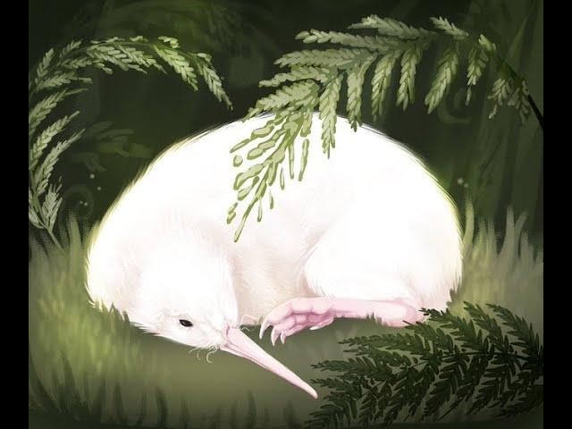 Rare white kiwi that inspired book and toys dies