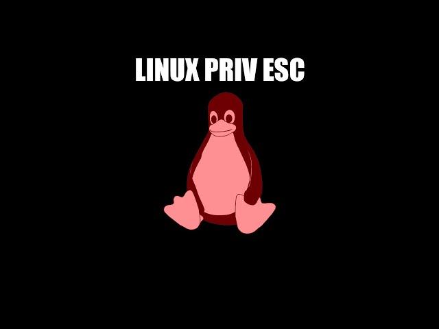 Linux Privilege Escalation 2 - Automated Tools To Assist With Privilege Escalation Linpeas LinEnum