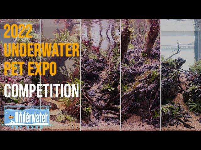 2022 Underwater Pet Expo Competition Part 2!