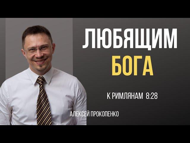 Любящим Бога | Римлянам 8:28 | Алексей Прокопенко