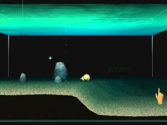 The Return of Seaman