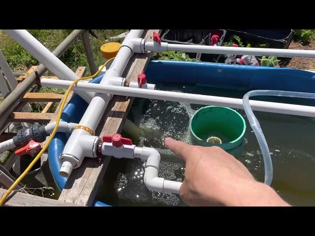 Aquaponics - Mad Science - Trompe Pump Prototype