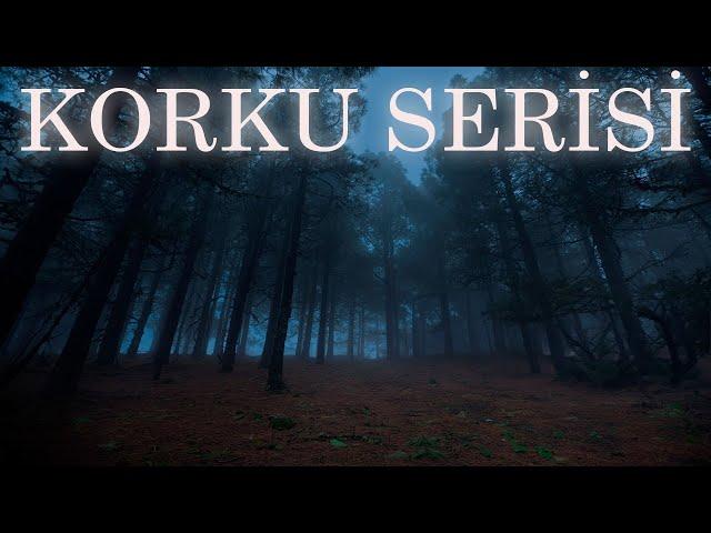 UYKUSUZLARA KORKU SERİSİ | YAŞANMIŞ KORKU HİKAYELERİ | PARANORMAL HİKAYELER