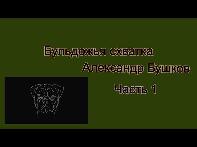 Аудиокнига. Александр  Бушков. Бульдожья схватка. Часть 1.