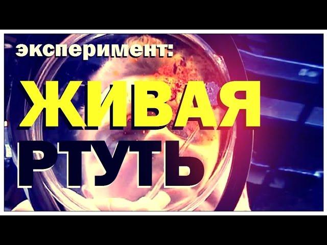 Галилео. Эксперимент. Живая ртуть