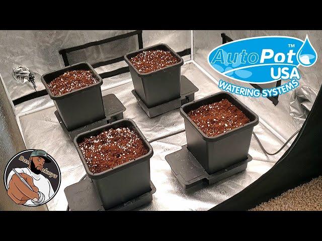 Bassdropkeys 4 Pot Autopot System Bundle