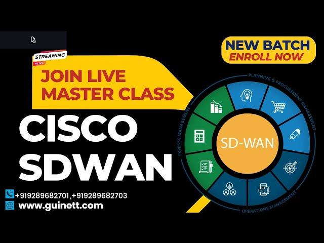 Cisco SDWAN Live Master Class- Learn Everything About SDWAN-by-Cisco SDWAN Expert