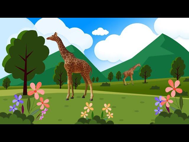 Giraffe Tree Nature Cartoon Background Loop / Animation Video / Satish Designgraphy