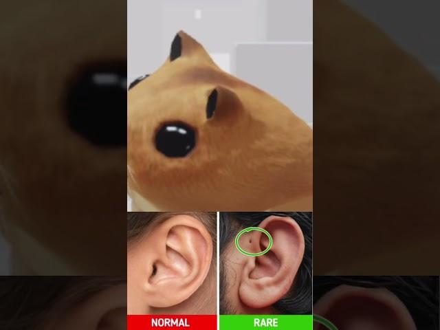 Normal VS Rare Ear Hole