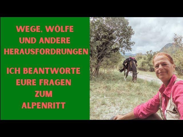 Wanderreiten - Ich beantworte eure Fragen zur meiner Solo Alpenüberquerung zu Pferd