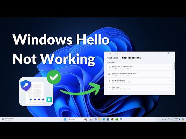 How to Fix Windows Hello Not Working on Windows 11