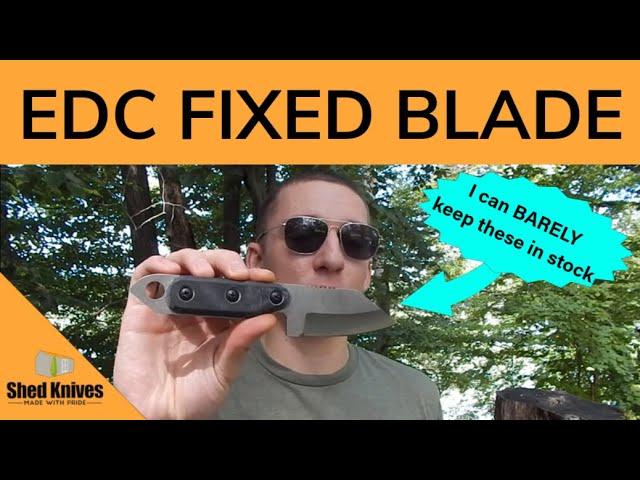 The Most UNDERRATED EDC Fixed Blade: 2023 US Tanto | Shed Knives #shedknives