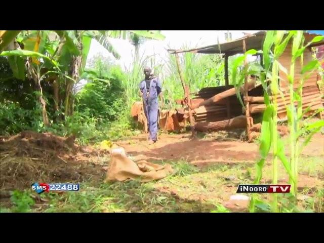 iNooro TV Live