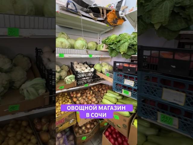 Иду в овощной магазин в Сочи. Смотрим цены на овощи. Купила кукурузу, помидоры, цв.капусту на 429₽