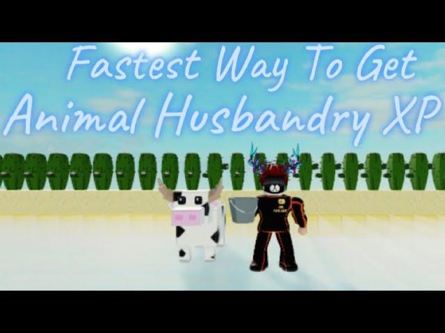 Fastest way to get Animal Husbandry XP in Roblox Islands