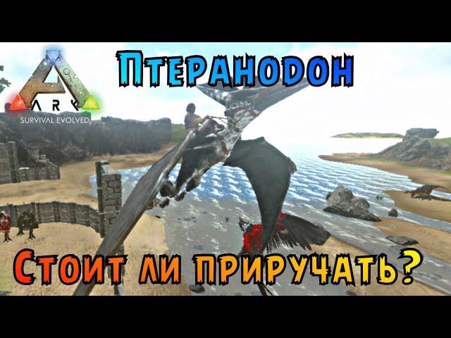 Стоит ли приручать птеранодона? | Птеранодон Арк Мобайл | ARK MOBILE |