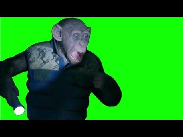 Monkey saying "OH NO!" meme - Green Screen - War for the Planet of the Apes