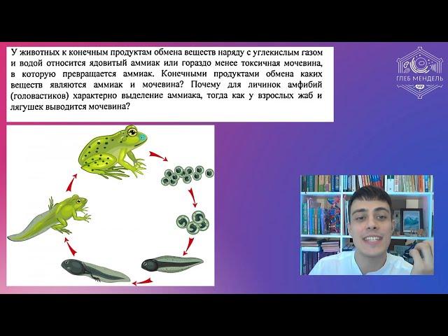 Образование мочевины, аммиака. Метаболизм азотсодержащих соединений. ЕГЭ по БИОЛОГИИ | Глеб Мендель