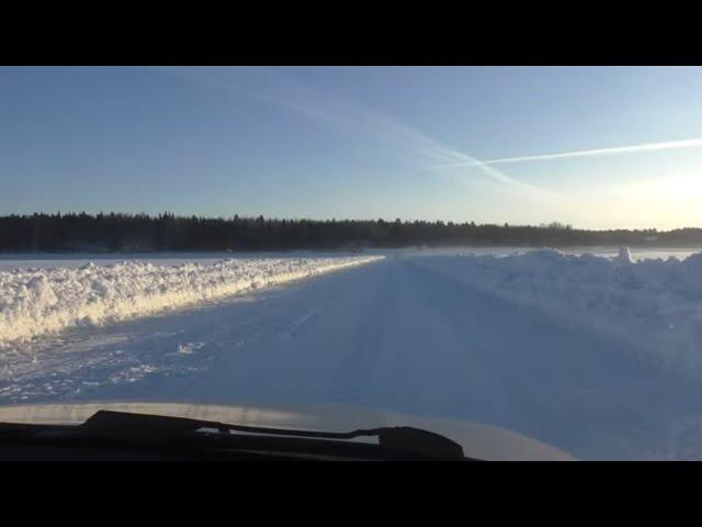 Мечта ОХОТНИКА / Столько ДИЧИ я еще не видел / Все деревья в КОСАЧАХ