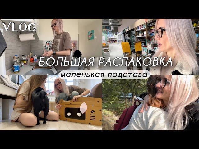 Сырники. Золотые кисти.Посылка с TEMU. Неожиданная встреча. Подстава от Киры.