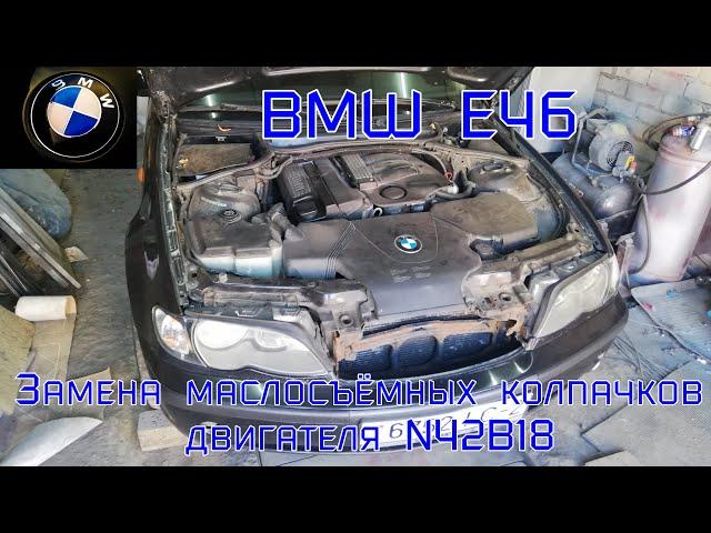 BMW E46 316i. Замена маслосъёмных колпачков двигателя N42b18.