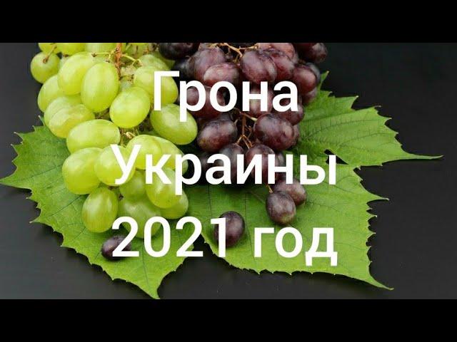 Золотая гроздь Украины 2021 год.