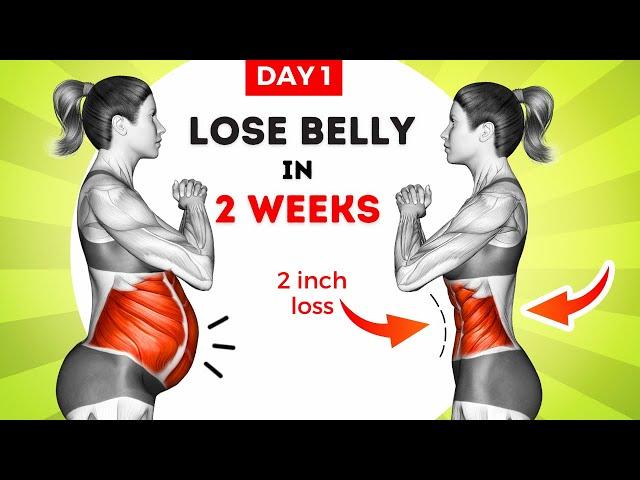 Burn Belly Fat & Lose Weight 30-Min Daily Standing Exercises | 2 Week Challenge : DAY 1