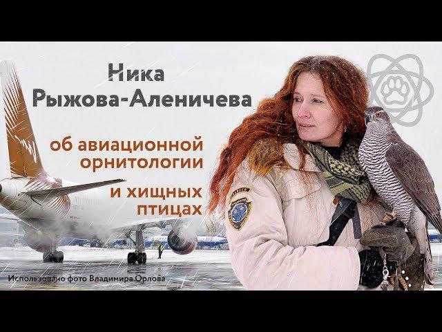 Ника Рыжова-Аленичева об авиационной орнитологии