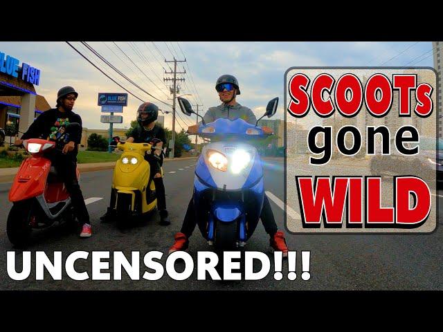 Four-Strokes Gone Wild!    Scooters Doing Scooter Things