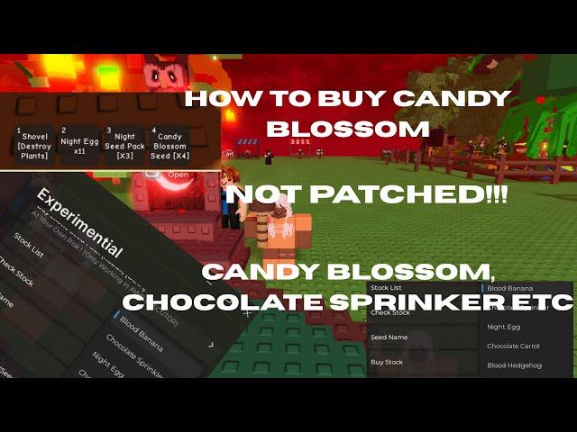How to buy Candy Blossoms | Grow a Garden Script | NOT PATCHED