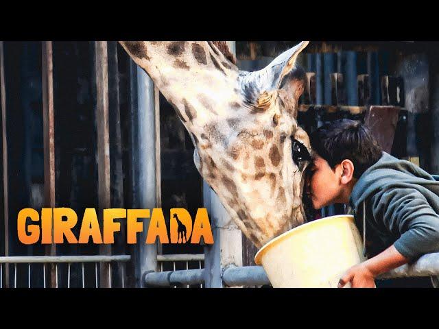 Giraffada (FAMILIENFILM I ganze Spielfilme auf Deutsch, kostenlose Filme anschauen)