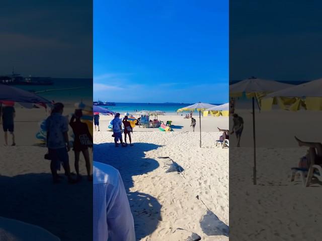 TAWAEN CAZA BEACH ️ | KOH LARN ISLAND  | 20th April, 2025