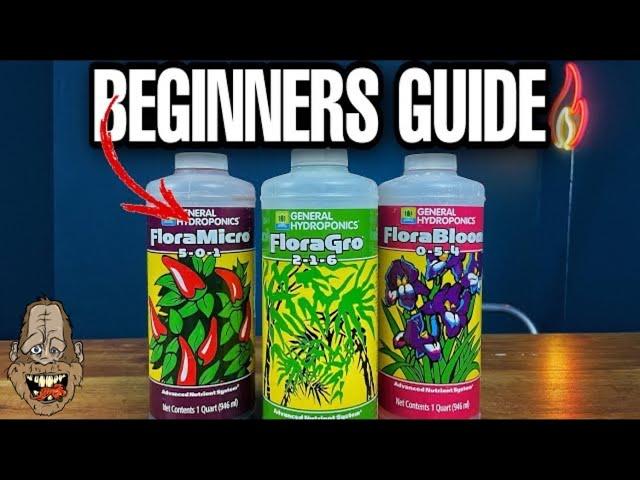 How To Mix Hydroponic Nutrients For Beginners